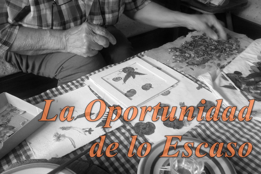 manifiest carrusel (1)