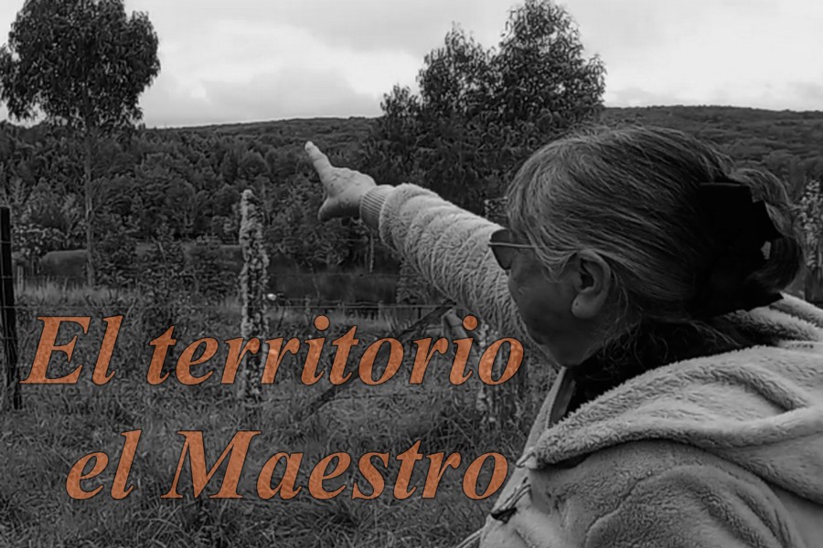 manifiest carrusel (2)