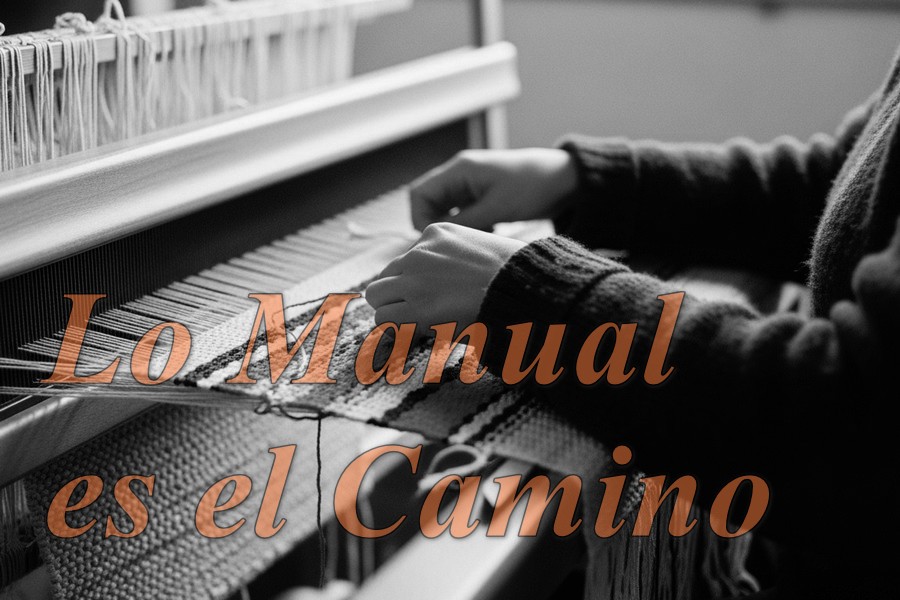 manifiest carrusel (4)