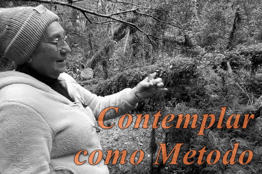 manifiest carrusel (7)